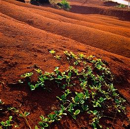 喜迎兔年开门红，《极限竞速:地平线5》登陆斗鱼新春游戏大联欢